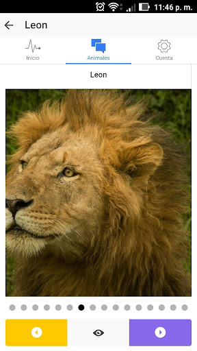 safari AR Screen 2