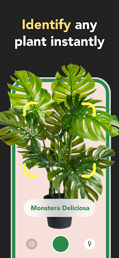 Plant Care: Plant Identifier Screenshot 2 - AppWisp.com