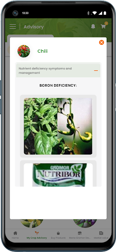 MyGromor Screen 3