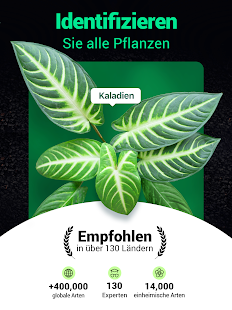 Plantum - Pflanzen bestimmen Screenshot