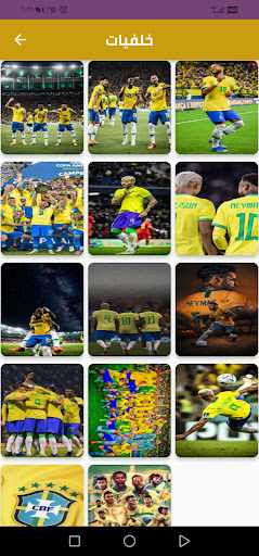 خلفيات منتخب البرازيل