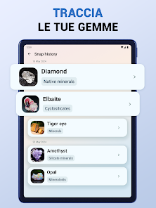 Immagine screenshot