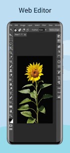 photopea APK Free Download for Android 2