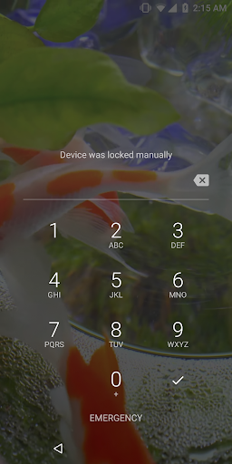 Goldfish Video Live Wallpaper