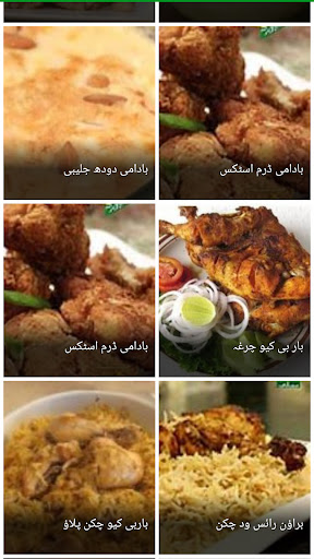 Pakistani Recipes in Urdu Screen 3