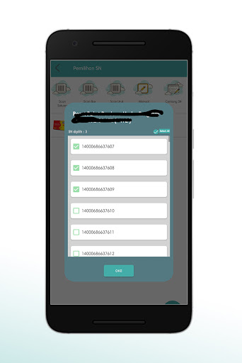 SSe-invoicing Screen 3
