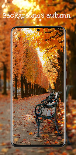 Android application Backgrounds autumn screenshort