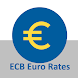 Euro Rates and Converter