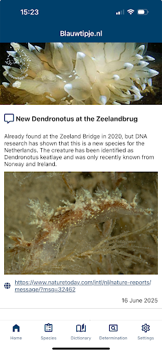 Android application Dutch Nudibranchs - Blauwtipje screenshort