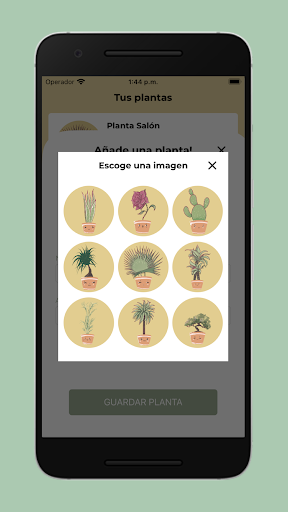 Healthy plants Screen 2