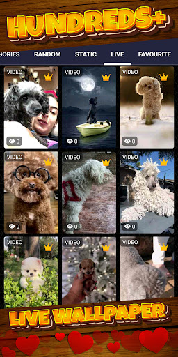 poodle wallpaper Screen 3