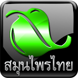 ตำรา สมุนไพรไทย icon