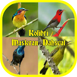Cover Image of Download Cerecetan Kolibri Masteran 1.8 APK