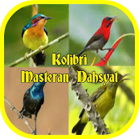 Cerecetan Kolibri Masteran Dahsyat Offline
