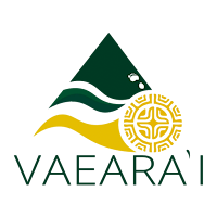 Vaearai Terevau Piti