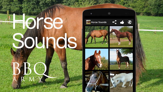 Horse Sounds Screenshot