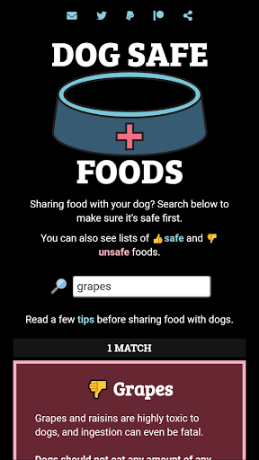 Dog Safe Foods (Premium) Screen 3