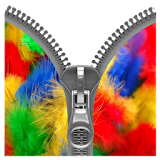 Colorful Wings Zipper icon
