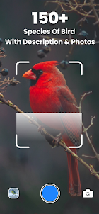 Bird ID - Picture Identifier