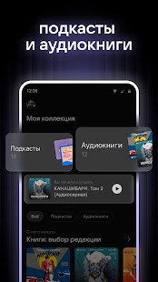 VK Music: playlists & podcasts Screenshot