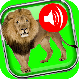 Contes 2 Kassem avec audio: Download & Review