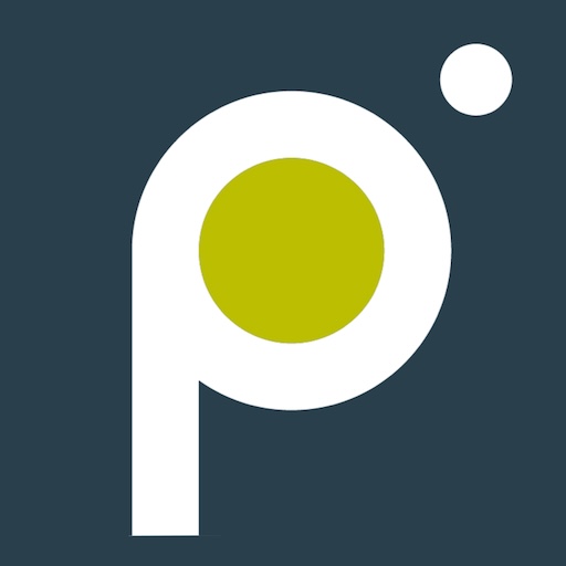 Parish Pix: Real Estate Media logo