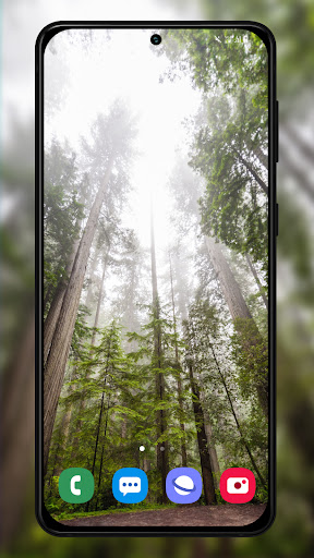 nature wallpapers backgrounds