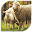Raise Animal Farm (Guide) Download on Windows