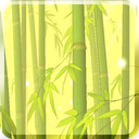 Bamboo Forest Free L.Wallpaper