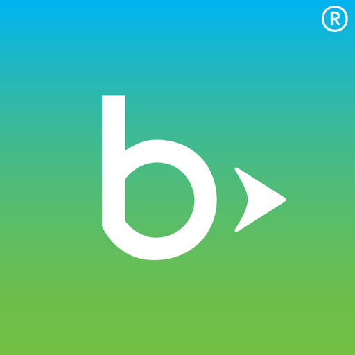 Blackbaud Volunteer Network Fu logo