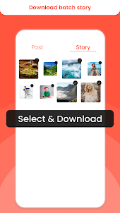 Storiesig - Story Saver