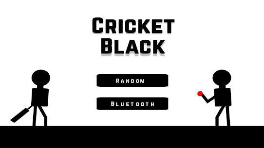 Cricket Black 6