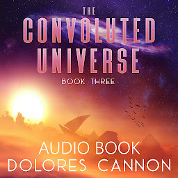 Symbolbild für The Convoluted Universe, Book Three