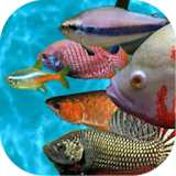 Ancient Fish Pack icon