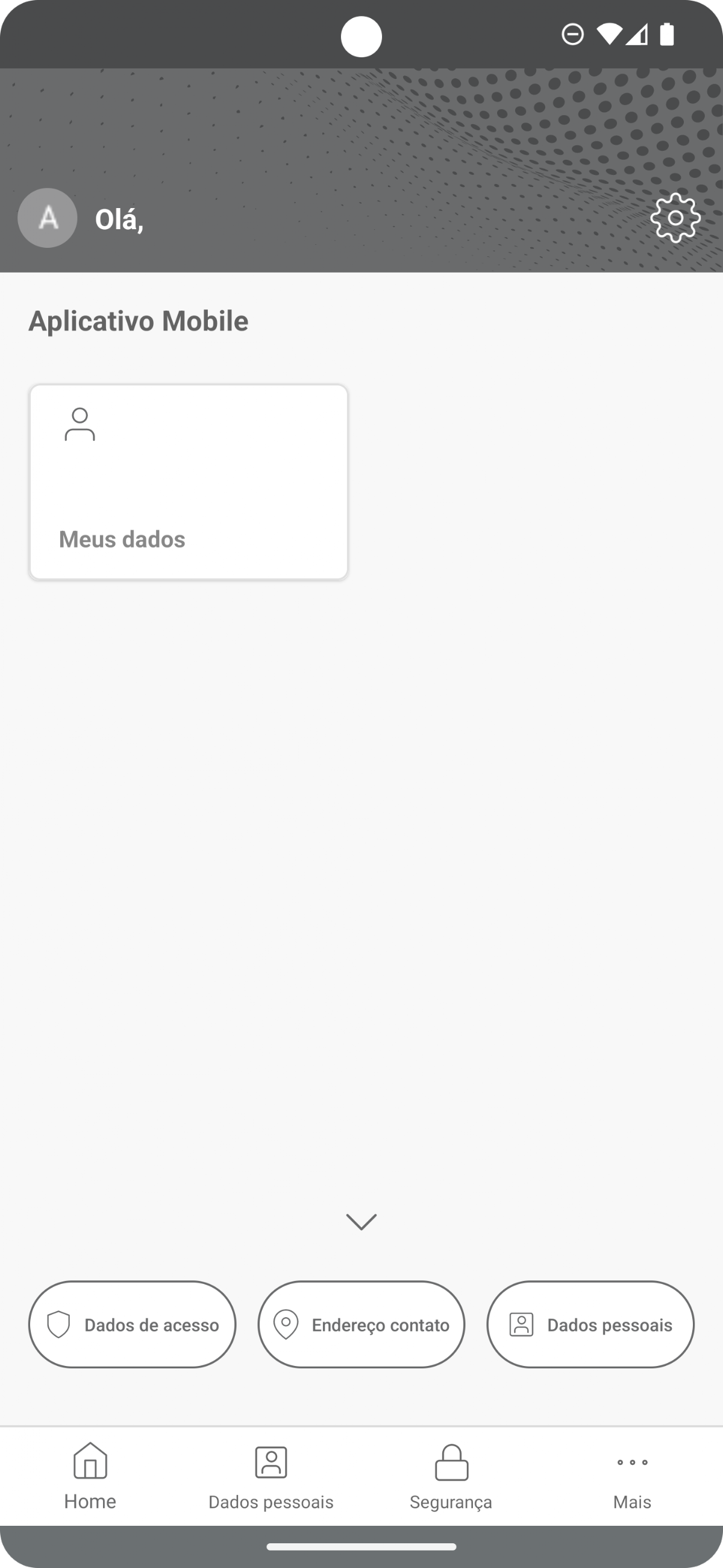 Ntseg app