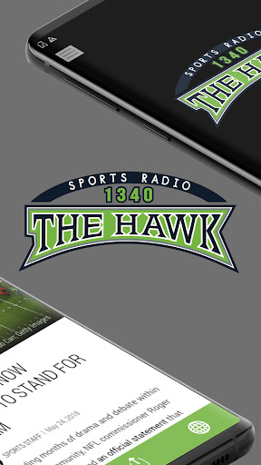 1340 The Hawk Screen 2
