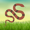 Indian Snakes icon