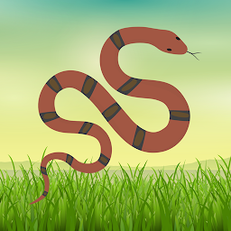 Icon image Indian Snakes