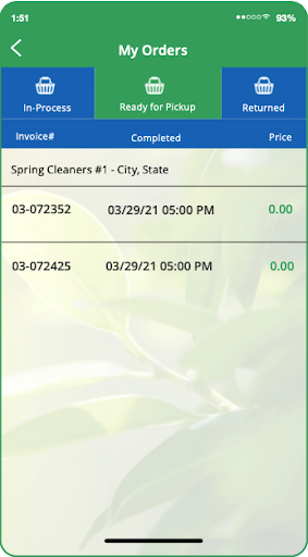 Spring Cleaners Screen 3