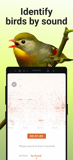 Picture Bird Mod APK v2.9.1 (Premium) poster-2