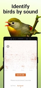 Bird Identifier MOD APK 2.9.18 (Premium Unlocked) 3