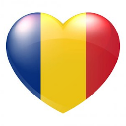 Slika ikone Румынский язык самоучитель.