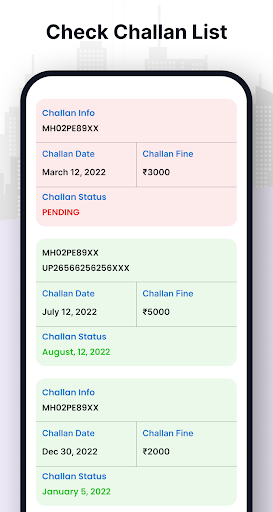 RTO Vehicle Information Screen 3