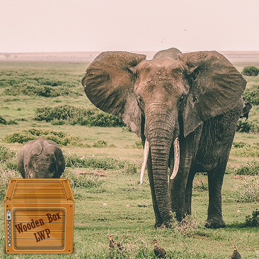 african elephant wallpaper logo