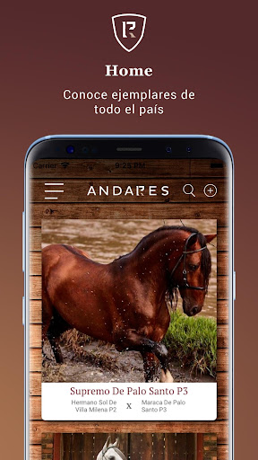 Andares Screen 2