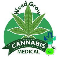 Weed Growing-Cannabis  Leafly