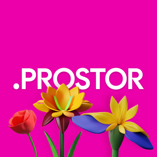 Prostor