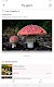 screenshot of Picture Mushroom - Mushroom ID