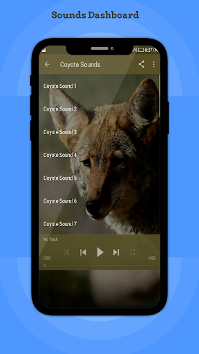 Coyote Sounds Screen 2