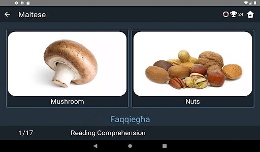 Maltese Language Tests